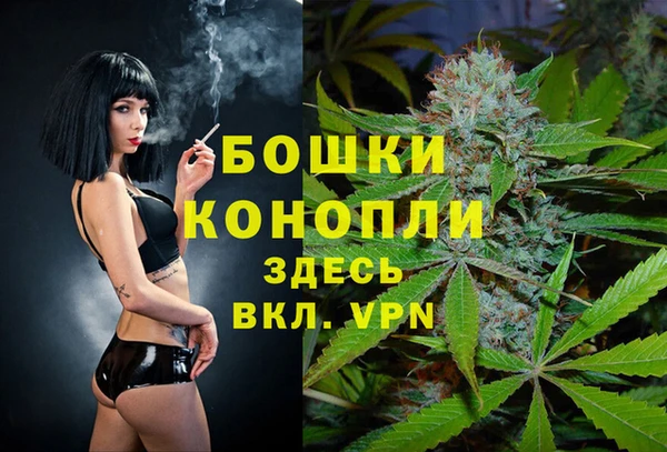 ешки Кедровый