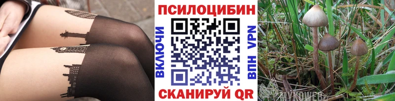 Псилоцибиновые грибы Magic Shrooms  KRAKEN сайт  Соль-Илецк  купить наркотик 