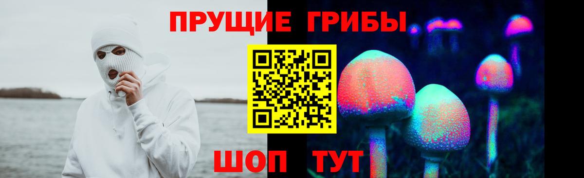 Псилоцибиновые грибы мухоморы Соль-Илецк